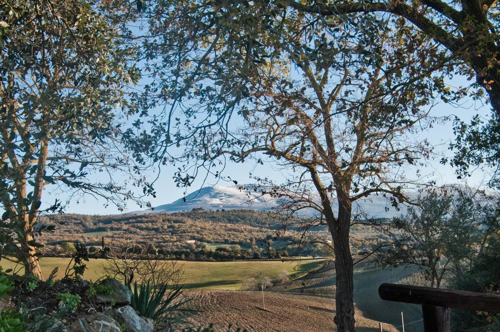 Agriturismo Grossola Кастильоне-д'Орчия Экстерьер фото