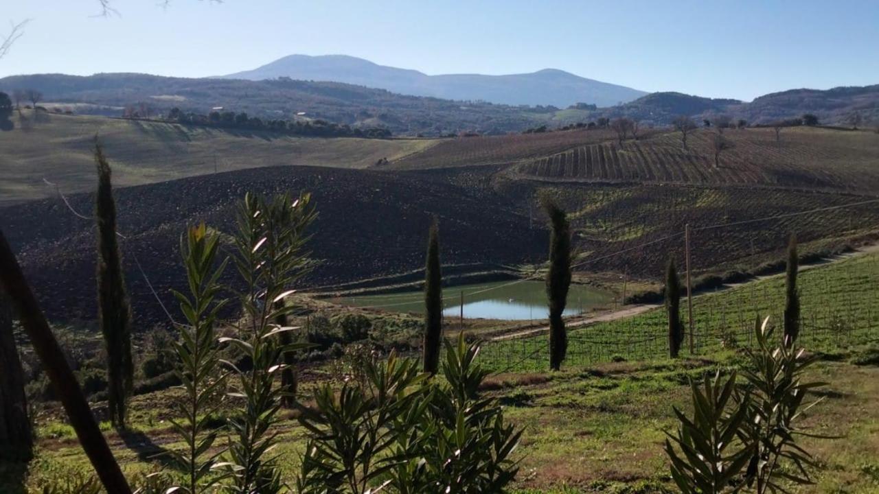 Agriturismo Grossola Кастильоне-д'Орчия Экстерьер фото